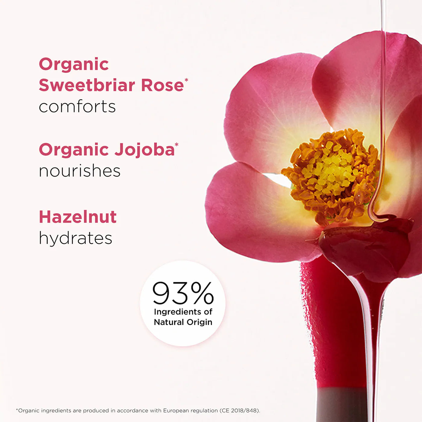 Lip Comfort Hydrating Oil - Venus Cult