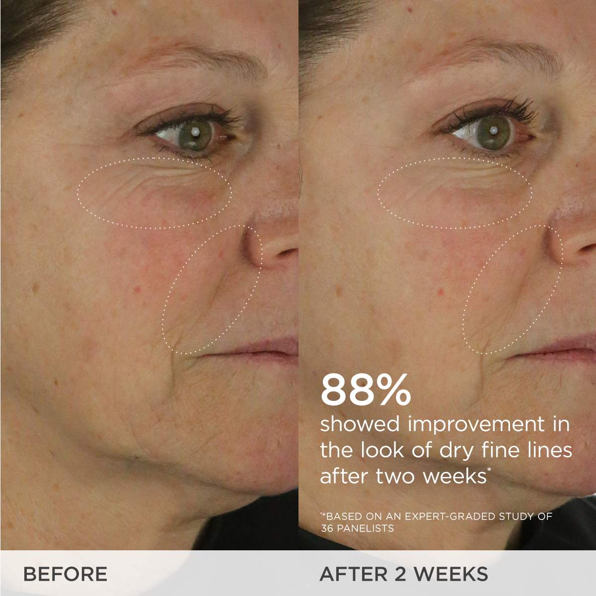 The Dewy Skin Cream Plumping & Hydrating Refillable Moisturizer - Venus Cult