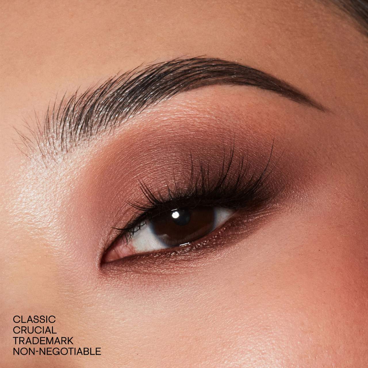 Major Dimension III Matte Eyeshadow Palette - Venus Cult